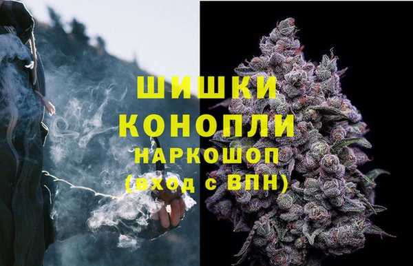прущие крисы Сафоново