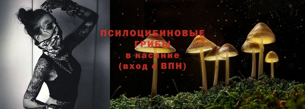 спиды Саяногорск