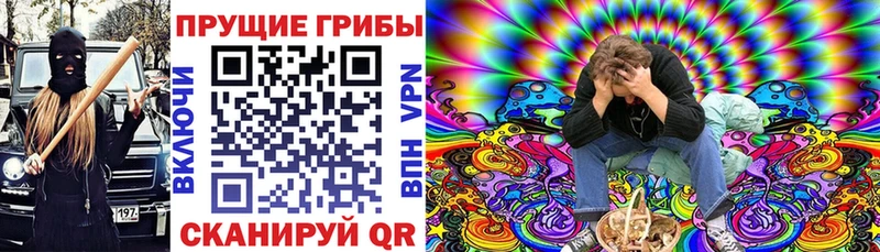 Галлюциногенные грибы Cubensis mega ссылка Ессентукская